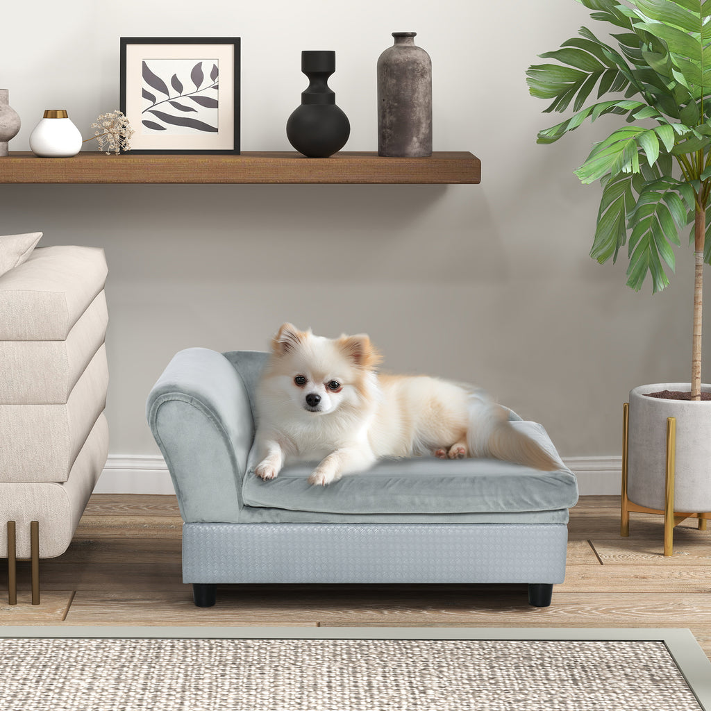 Small dog on a pet bed in a living room setting with a shelf and plant in the background.