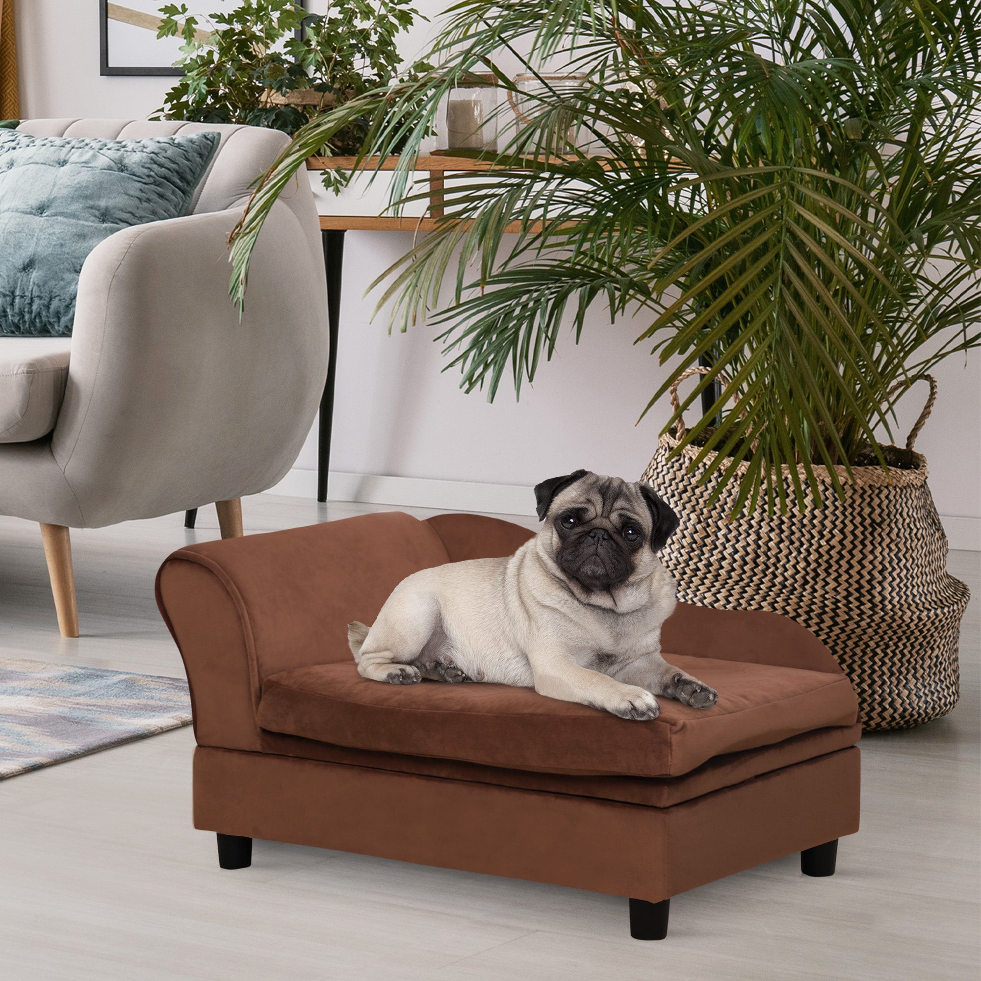 Pug lying on a brown pet bed in a cozy living room with a plant and chair.