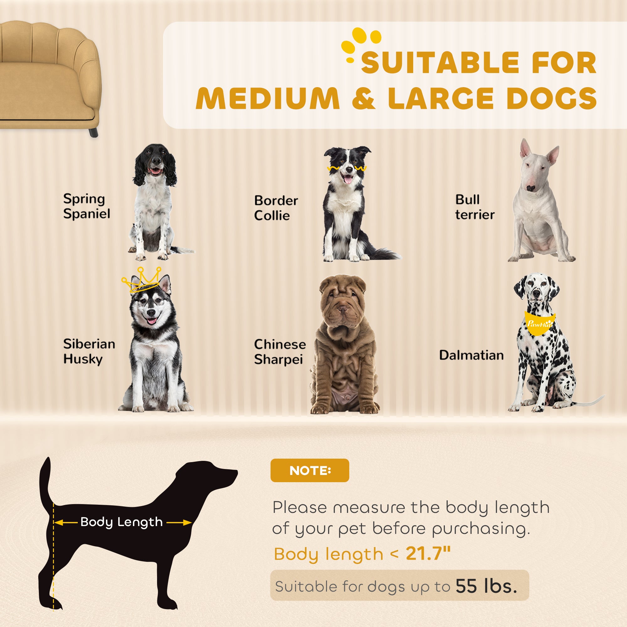 Chart showing dogs suitable for medium and large dog furniture, with images of breeds and size guidelines.