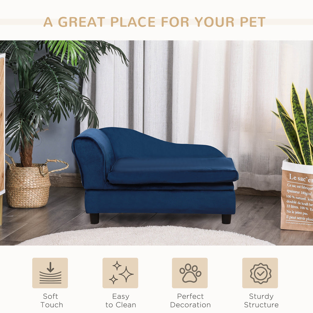 Blue pet bed on a white rug with plants and a curtain in the background