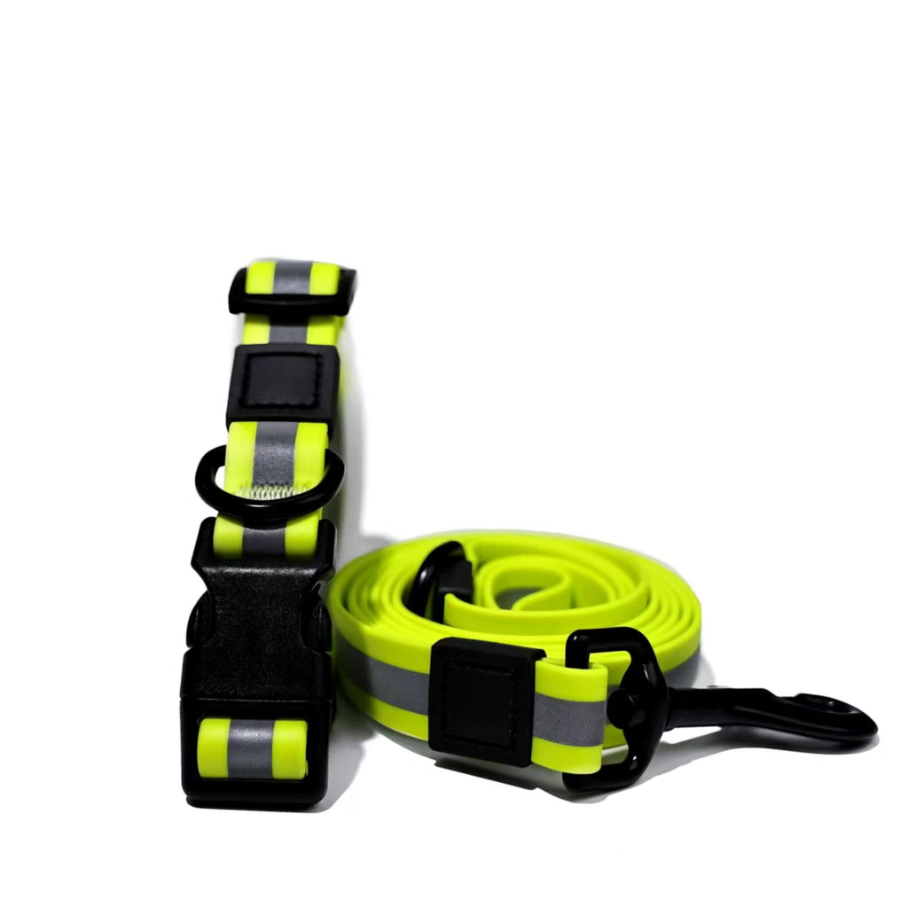 Reflective dog collar and leash set on a white background