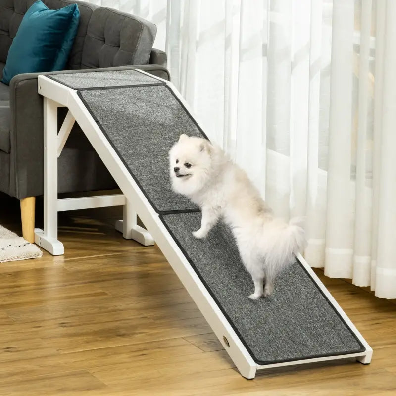 Small dog on a Voyager dog ramp and dog stairs solution in a living room setting