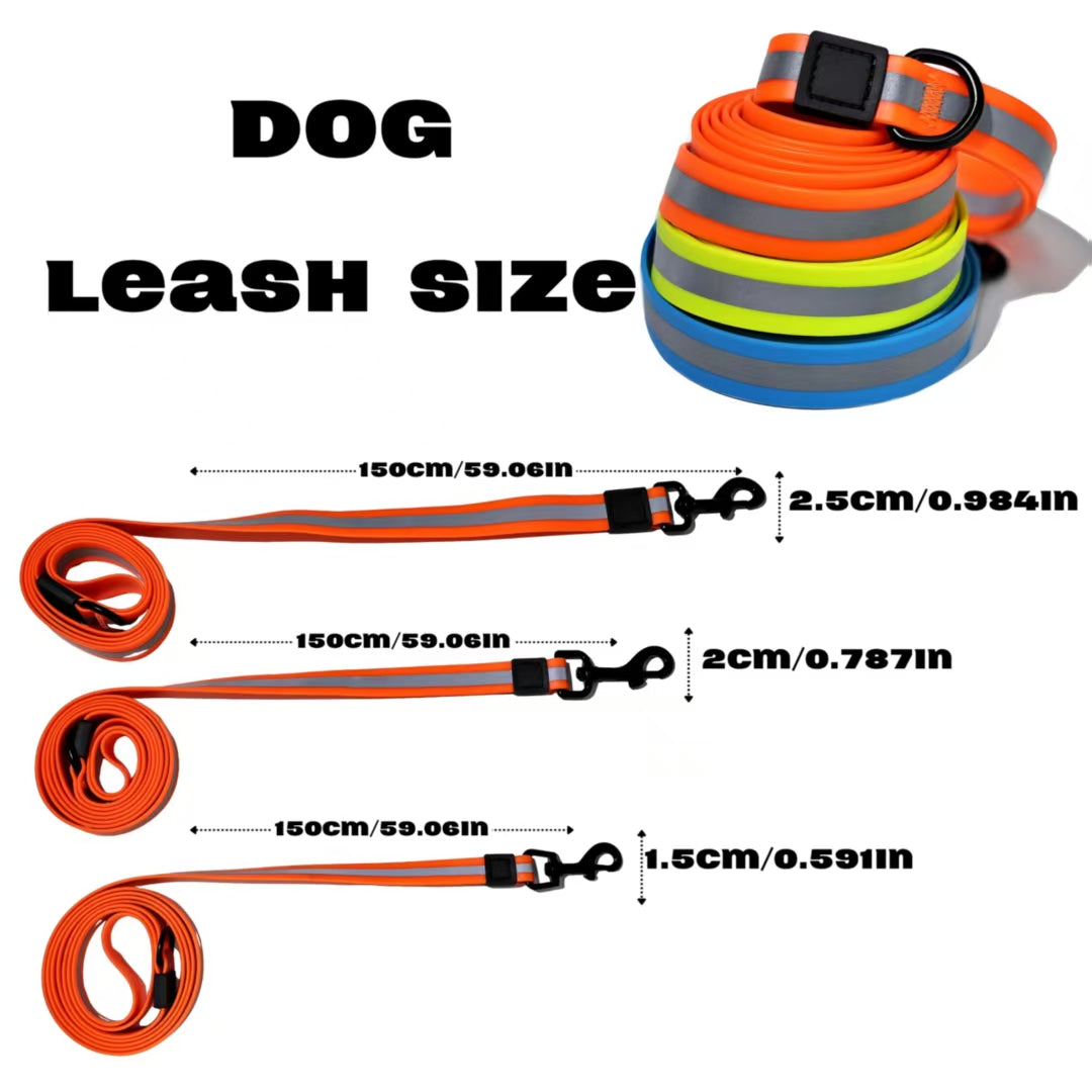 Dog leashes in various colors with size measurements on a white background